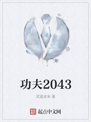 功夫2043