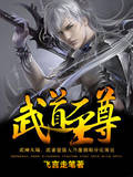 武道至尊