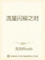 流星闪烁之时