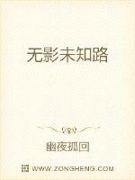 无影未知路