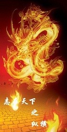 志在天下之纵横